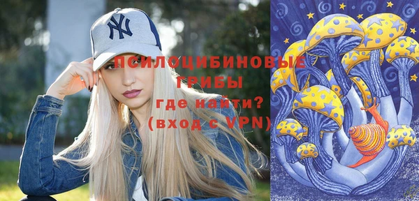 ГАЛЛЮЦИНОГЕННЫЕ ГРИБЫ Михайловск