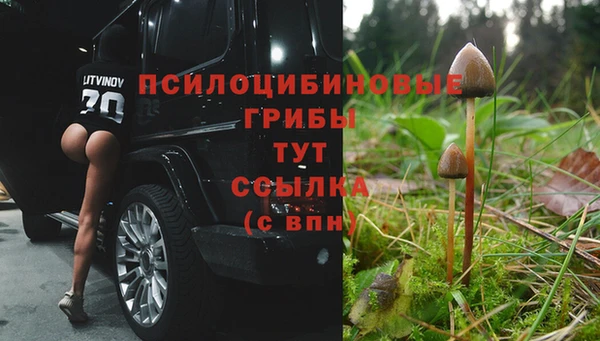 ГАЛЛЮЦИНОГЕННЫЕ ГРИБЫ Михайловск