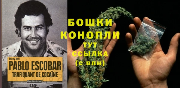 ГАЛЛЮЦИНОГЕННЫЕ ГРИБЫ Михайловск