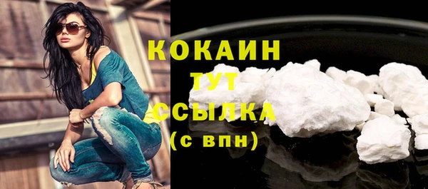 гашик Арсеньев