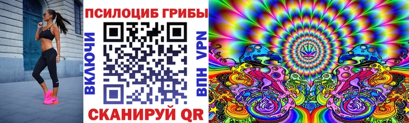 закладка  Чадан  Галлюциногенные грибы Cubensis 